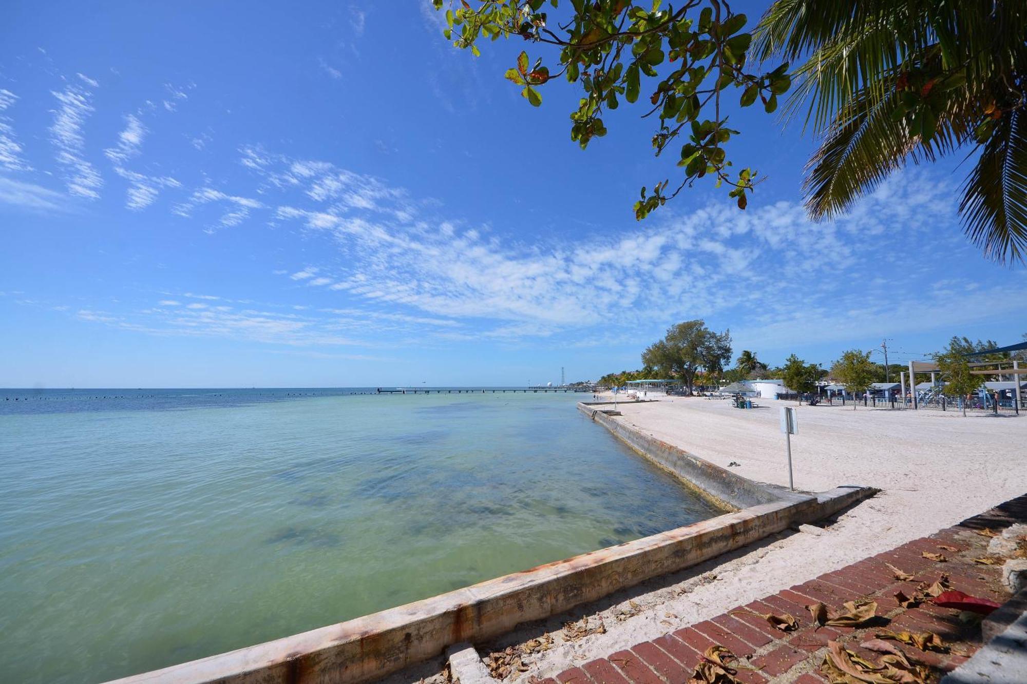 Four Flowers Guesthouse Key West Bilik gambar